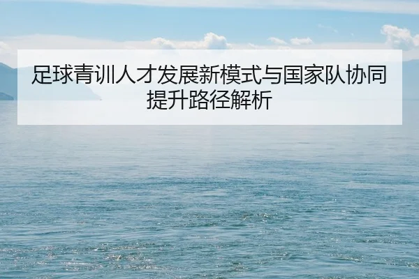 足球青训人才发展新模式与国家队协同提升路径解析